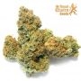 Cereal Milk Feminized by Royal Queen Seeds THC Content Potency Strength CBD Height Yield Flowering Time Indica Sativa Genetics