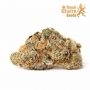 Royal Queen Seeds Biscotti Smoke Buds Weed Ganja Skunk Dope Pot Images Pics Nuggets