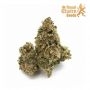 Royal Queen Seeds Apple Fritter Smoke Buds Weed Ganja Skunk Dope Pot Images Pics Nuggets