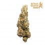 Royal Queen Seeds Wedding Cake Auto Smoke Buds Weed Ganja Skunk Dope Pot Images Pics Nuggets