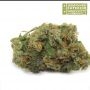 Superior Seedstockers Rucu Cucu OG Auto Smoke Buds Weed Ganja Skunk Dope Pot Images Pics Nuggets