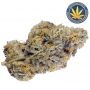 Mimosa Punch Feminized by Advanced Seeds THC Content Potency Strength CBD Height Yield Flowering Time Indica Sativa Genetics