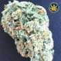 Advanced Seeds San Bacio Burger Smoke Buds Weed Ganja Skunk Dope Pot Images Pics Nuggets