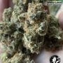 White Label USA Line Nicole Hindu Kush Smoke Buds Weed Ganja Skunk Dope Pot Images Pics Nuggets