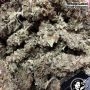 White Label USA Line Gelato 420 Smoke Buds Weed Ganja Skunk Dope Pot Images Pics Nuggets