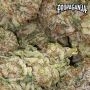 Propaganja Seeds Red Neck Poison Smoke Buds Weed Ganja Skunk Dope Pot Images Pics Nuggets