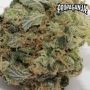Propaganja Seeds AvashAvash Smoke Buds Weed Ganja Skunk Dope Pot Images Pics Nuggets
