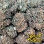 Greenhouse Seeds Nori Cake Smoke Buds Weed Ganja Skunk Dope Pot Images Pics Nuggets