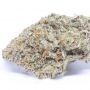 Alien Z Auto Feminized by Greenhouse Seeds THC Content Potency Strength CBD Height Yield Flowering Time Indica Sativa Genetics