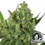 White Label OG Kush Smoke Buds Weed Ganja Skunk Dope Pot Images Pics Nuggets