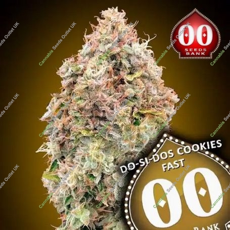 DoSiDos Cookies Fast V Feminized Marijuana Strain by OO Seeds For Sale Online at Cannabis Seeds Outlet