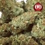 DoSiDos Cookies Fast V Feminized by OO Seeds THC Content Potency Strength CBD Height Yield Flowering Time Indica Sativa Genetics