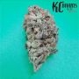 Zkittlez 36 Auto Feminized Marijuana Strain by KC Brains Seeds For Sale Online at Cannabis Seeds Outlet