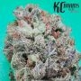 KC Brains Seeds Zkittlez 36 Auto Smoke Buds Weed Ganja Skunk Dope Pot Images Pics Nuggets