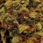 KC Brains Seeds Brains Damage Wedding Cake Smoke Buds Weed Ganja Skunk Dope Pot Images Pics Nuggets