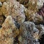 Flavour Chasers Purple Gelato Smoke Buds Weed Ganja Skunk Dope Pot Images Pics Nuggets