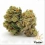 Flavour Chasers Dosi Glue Smoke Buds Weed Ganja Skunk Dope Pot Images Pics Nuggets