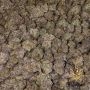 Flavour Chasers Biscotti Smoke Buds Weed Ganja Skunk Dope Pot Images Pics Nuggets