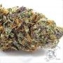 Don Avalanche Seeds Don Forbidden Fruit Smoke Buds Weed Ganja Skunk Dope Pot Images Pics Nuggets