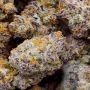 Don Avalanche Seeds Don DoSiPunch Smoke Buds Weed Ganja Skunk Dope Pot Images Pics Nuggets