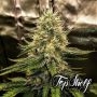 Silver Napalm Feminized Marijuana Strain by Top Shelf Elite For Sale Online at Cannabis Seeds Outlet