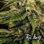 Silver Napalm Feminized by Top Shelf Elite THC Content Potency Strength CBD Height Yield Flowering Time Indica Sativa Genetics
