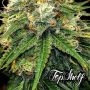 Top Shelf Elite Truffle Berry Auto Smoke Buds Weed Ganja Skunk Dope Pot Images Pics Nuggets