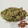 Orange Mooncake Feminized Marijuana Strain by TasteBudz For Sale Online at Cannabis Seeds Outlet