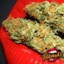 MAC Muffin Auto Feminized Marijuana Strain by TasteBudz For Sale Online at Cannabis Seeds Outlet