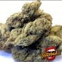 TasteBudz Bubble Runtz Auto Smoke Buds Weed Ganja Skunk Dope Pot Images Pics Nuggets