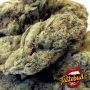 Bubble Runtz Auto Feminized by TasteBudz THC Content Potency Strength CBD Height Yield Flowering Time Indica Sativa Genetics