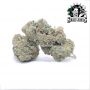 Sensi Seed Bank Sweet Cherry Kush Smoke Buds Weed Ganja Skunk Dope Pot Images Pics Nuggets