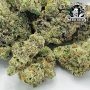 Blue Skunk Feminized by Sensi Seed Bank THC Content Potency Strength CBD Height Yield Flowering Time Indica Sativa Genetics