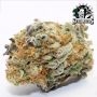 Sensi Seed Bank Cashew Kush Smoke Buds Weed Ganja Skunk Dope Pot Images Pics Nuggets