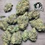 Sensi Seed Bank Aloha OG Smoke Buds Weed Ganja Skunk Dope Pot Images Pics Nuggets