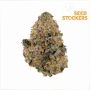 Seed Stockers Gelato 41 Smoke Buds Weed Ganja Skunk Dope Pot Images Pics Nuggets
