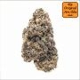 Alien Gorilla Feminized by Original Sensible Seeds THC Content Potency Strength CBD Height Yield Flowering Time Indica Sativa Ge