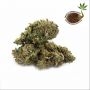 Emerald Triangle Banana Mass Smoke Buds Weed Ganja Skunk Dope Pot Images Pics Nuggets