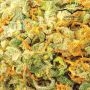 CBD Mazar Feminized by Dutch Passion THC Content Potency Strength CBD Height Yield Flowering Time Indica Sativa Genetics