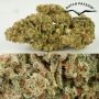 Dutch Passion SFV OG Auto Smoke Buds Weed Ganja Skunk Dope Pot Images Pics Nuggets