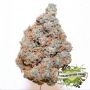 Cream of the Crop Jealousy Smoke Buds Weed Ganja Skunk Dope Pot Images Pics Nuggets