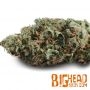 Big Head Seeds Superfast Auto Smoke Buds Weed Ganja Skunk Dope Pot Images Pics Nuggets