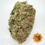 Barneys Farm White Widow XXL Auto Smoke Buds Weed Ganja Skunk Dope Pot Images Pics Nuggets