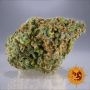 Barneys Farm White Widow XXL Smoke Buds Weed Ganja Skunk Dope Pot Images Pics Nuggets