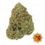 Barneys Farm Sour Diesel Auto Smoke Buds Weed Ganja Skunk Dope Pot Images Pics Nuggets