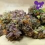 Anesia Seeds Toffee Pudding Auto Smoke Buds Weed Ganja Skunk Dope Pot Images Pics Nuggets