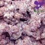 Tahiti Vibez Auto Feminized by Anesia Seeds THC Content Potency Strength CBD Height Yield Flowering Time Indica Sativa Genetics