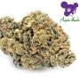Anesia Seeds Jealousy Dankness Smoke Buds Weed Ganja Skunk Dope Pot Images Pics Nuggets