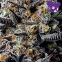Jealousy Dankness Feminized by Anesia Seeds THC Content Potency Strength CBD Height Yield Flowering Time Indica Sativa Genetics