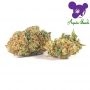 Anesia Seeds Green Apple Juice Automatic Smoke Buds Weed Ganja Skunk Dope Pot Images Pics Nuggets